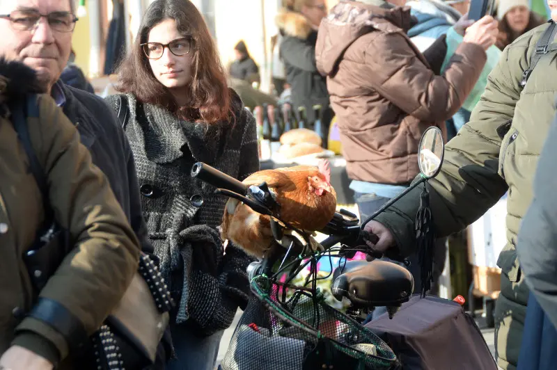 In piazza con noi a Lonato