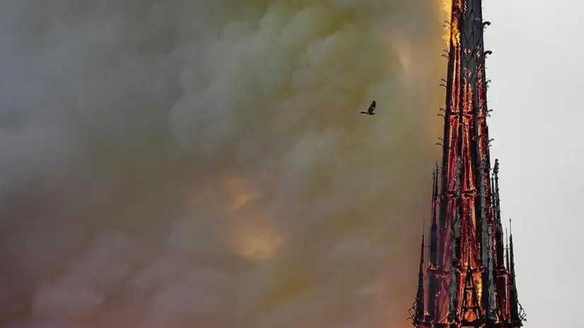 Notre-Dame in fiamme