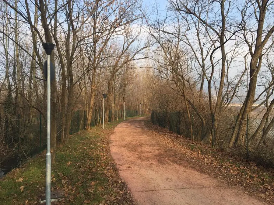 La pista ciclabile colpita dai vandali a Buffalora