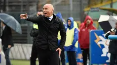 Eugenio Corini, allenatore del Brescia Calcio - Foto Reporter Checchi © www.giornaledibrescia.it