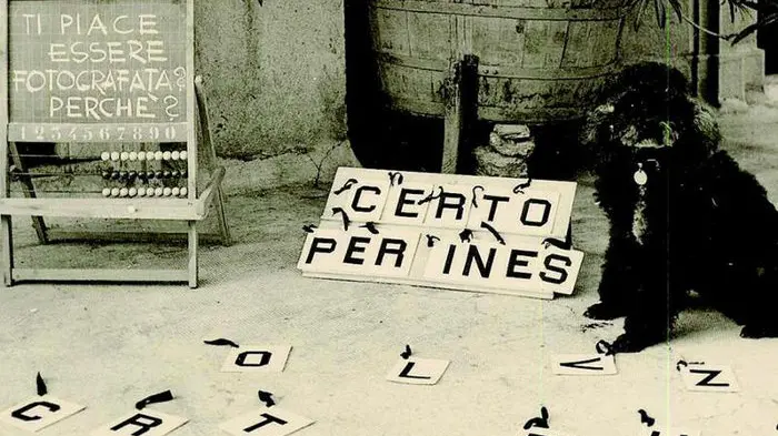 Peg, la barboncina di Chiari che leggeva e scriveva © www.giornaledibrescia.it