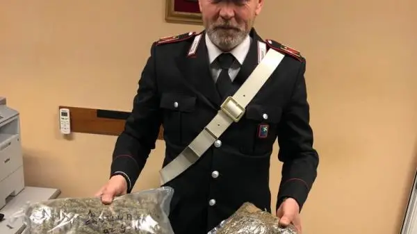 La marijuana sequestrata dai carabinieri