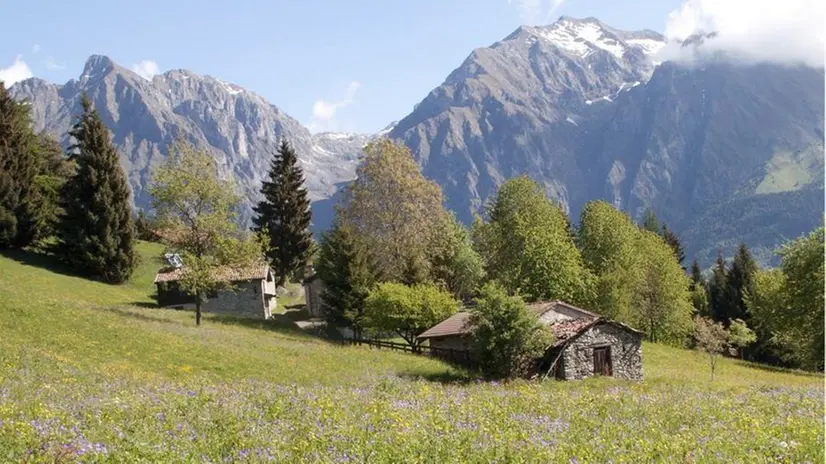 Il Parco Adamello assegna premi ai prati da sfalcio - © www.giornaledibrescia.it