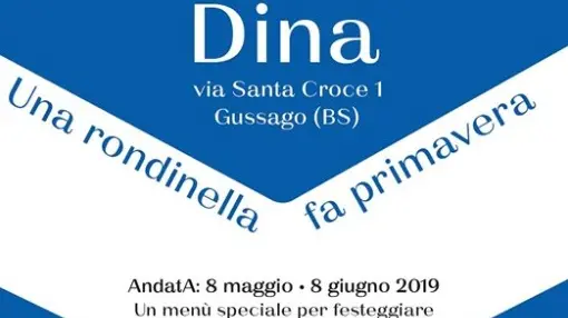 Il menù proposto da Dina per la promozione del Brescia in A - Foto tratta da Fb