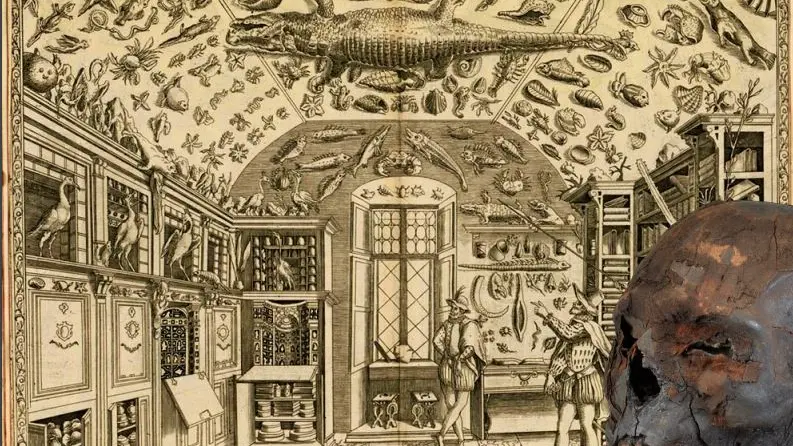 La locandina della mostra allestita al Museo di Scienze Naturali dedicata alle mummie - Foto tratta dal sito