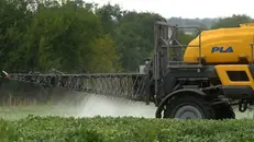 Pesticidi nei campi (archivio)