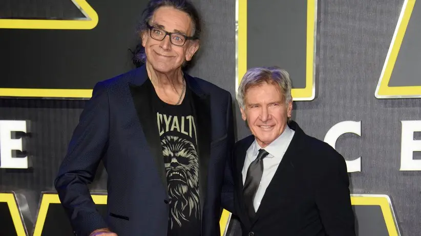 Peter Mayhew con Harrison Ford - Foto Ansa © www.giornaledibrescia.it