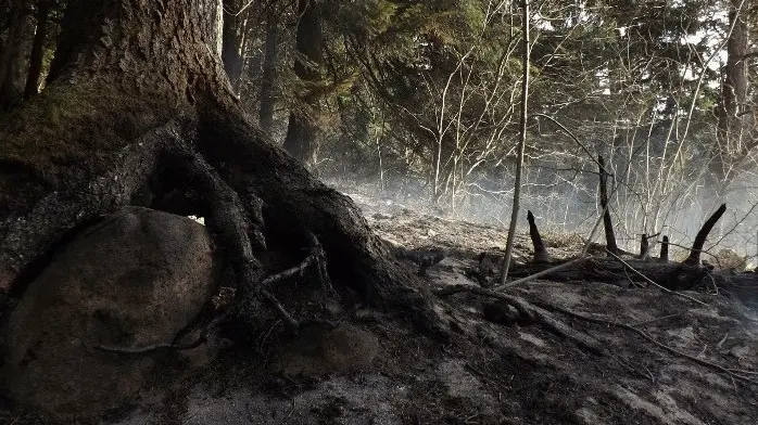 Devastazione. Gli effetti dell’incendio a Campolaro in Valcamonica