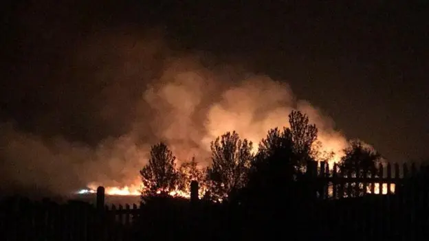 In fiamme il bosco di Winnie the Pooh