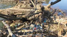 Plastica e immondizia deturpano  il fiume Oglio