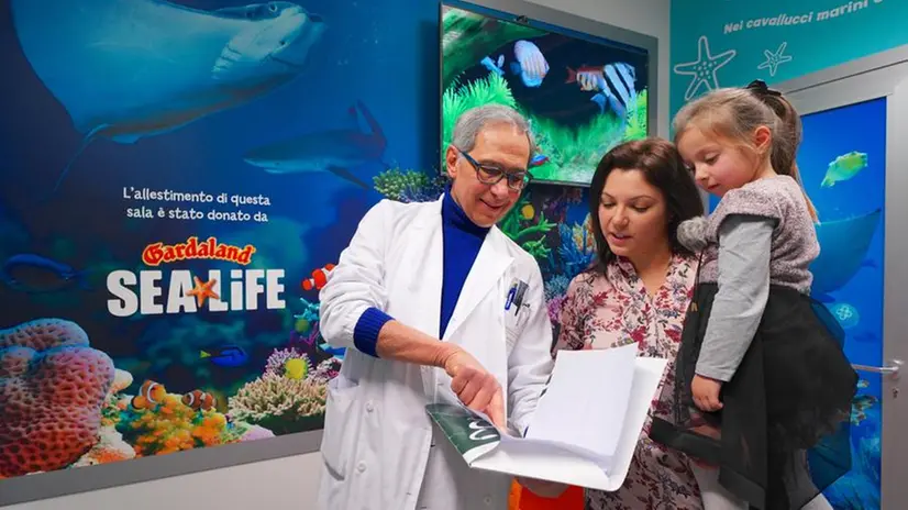 L'acquario all'ospedale Pedersoli di Peschiera