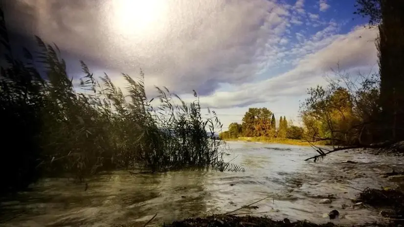 Un'immagine dell'Oasi San Francesco a Desenzano (pagina Facebook)