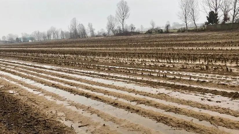 Sversamenti nella Bassa