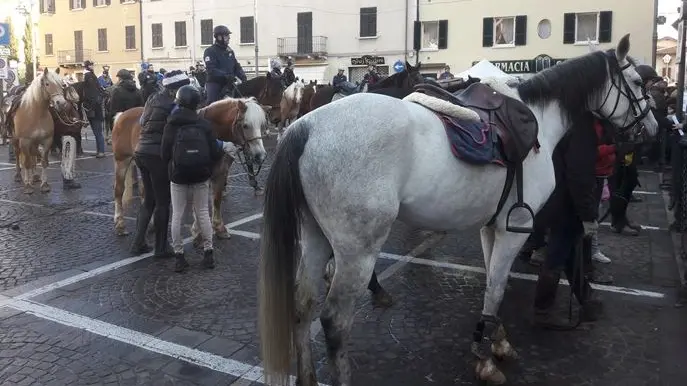 Gavardo, la benedizione degli animali dell'edizione 2018