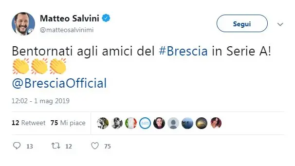 Le parole di Salvini - Foto © www.giornaledibrescia.it