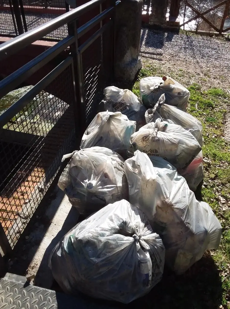 Volontari al lavoro per raccogliere i rifiuti al Parco delle Vincellate