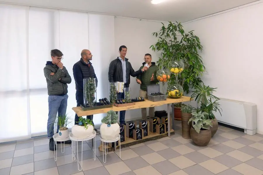 In Piazza con noi a Moniga del Garda