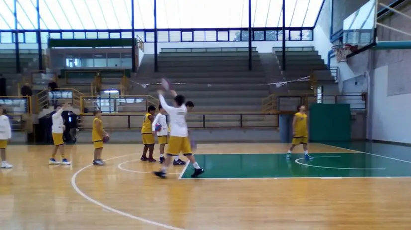 I ragazzini dell'Amico Basket Carpenedolo in campo - Foto Facebook