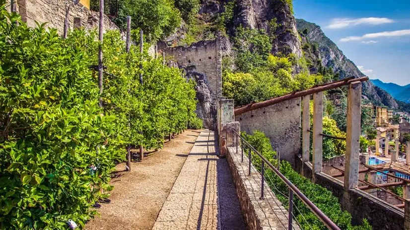 Una limonaia sul lago di Garda - © www.gardamonamour.it