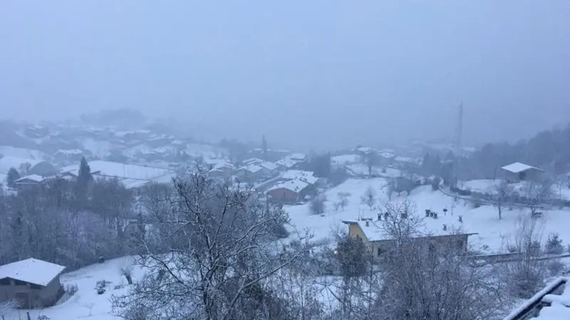 Nevica in città e provincia