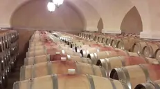 L’azienda Ca’ dei Frati - Foto  © www.giornaledibrescia.it