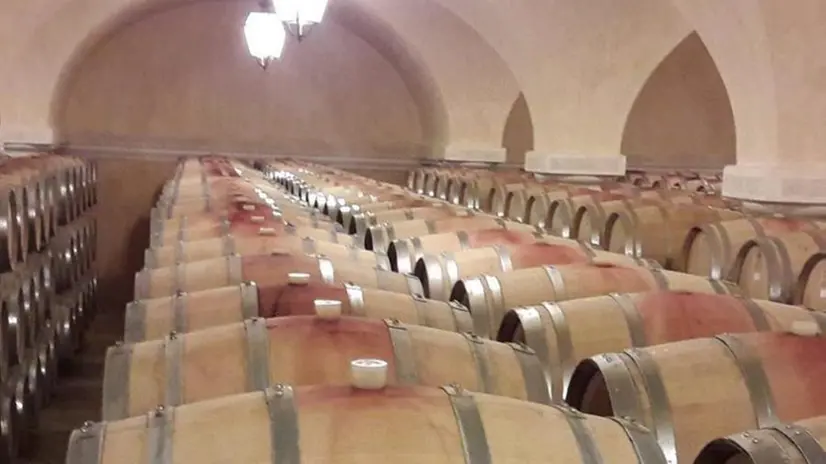 L’azienda Ca’ dei Frati - Foto  © www.giornaledibrescia.it