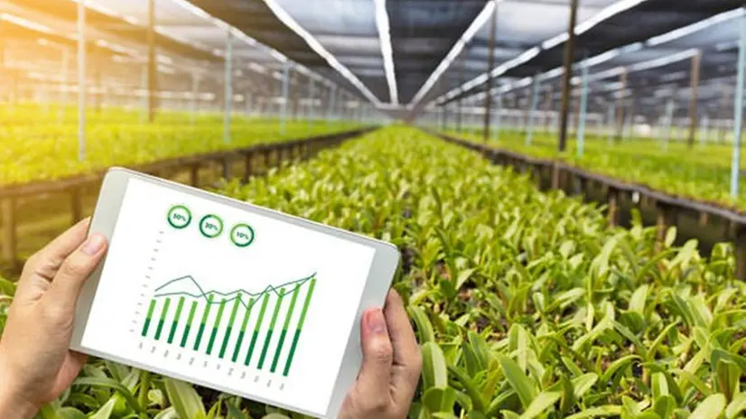 Anche l'agricoltura può evolversi attraverso il digitale