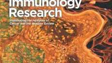 La copertina di gennaio 2019 della prestigiosa rivista Cancer Immunology Research