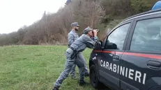 I carabinieri forestali  -  © www.giornaledibrescia.it