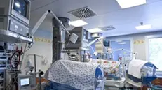 Terapia intensiva neonatale  © www.giornaledibrescia.it