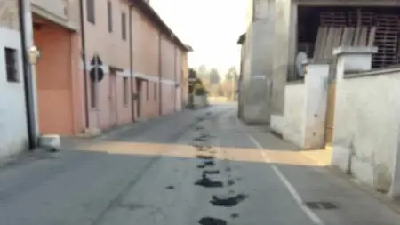 Strade imbrattate a Acquafredda - Foto tratta da Fb