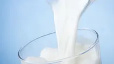 Zooprofilattico, truffa per le quote latte: 35 a processo - © www.giornaledibrescia.it