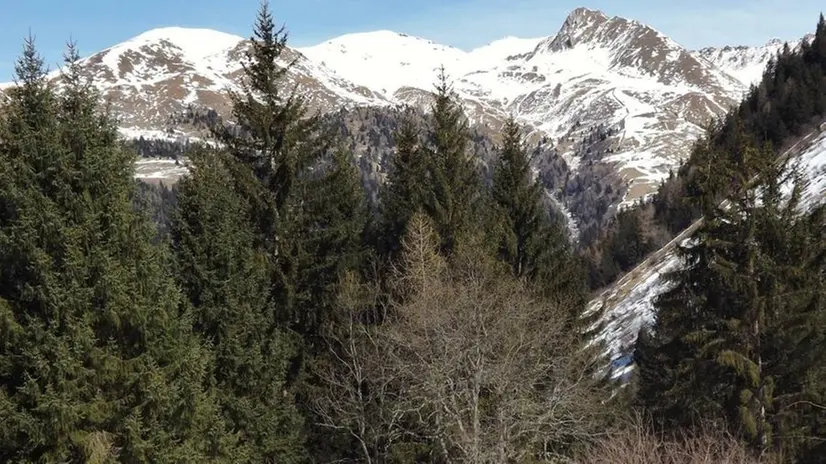 Ornitologi e birdwatcher al lavoro per il cesimento dell’aquila reale e del gipeto