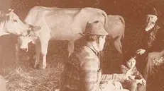 Il classico rimedio contro l'influenza era a base di latte caldo e aglio tritato