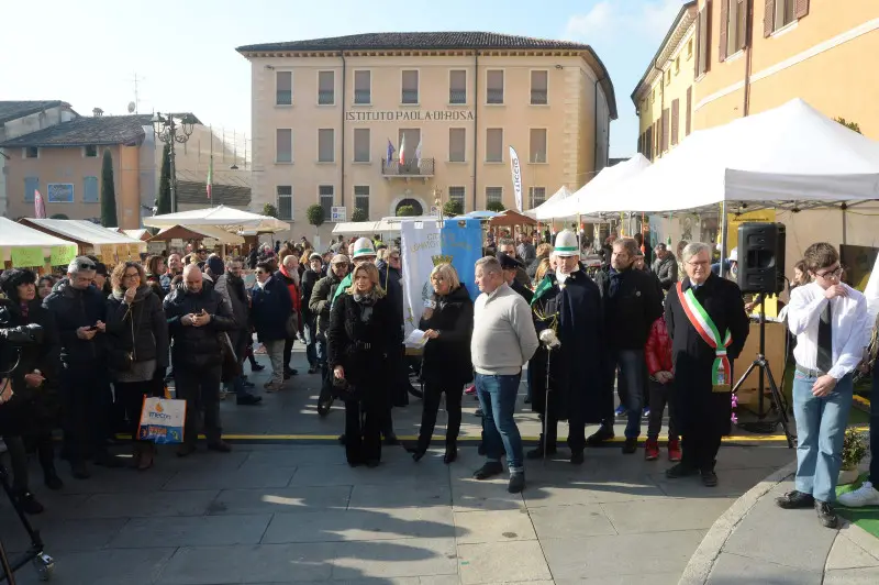 In piazza con noi a Lonato