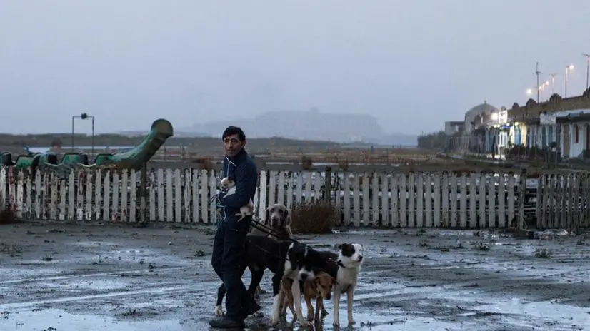 Una scena del film Dogman