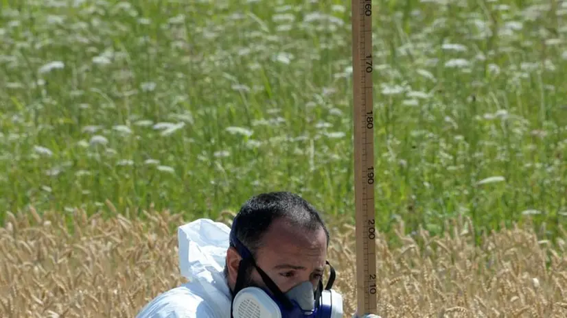 I terreni. Ersaf ha condotto studi e sperimentazioni sulle coltivazioni - © www.giornaledibrescia.it