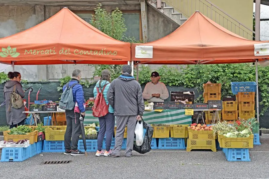 Mercato contadino in via Sardegna