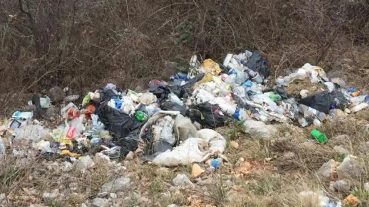 L'intervento per ripulire il bosco di Serle