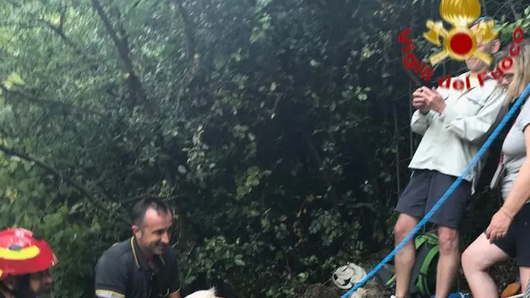 L'intervento dei Vvf e il salvataggio del cane