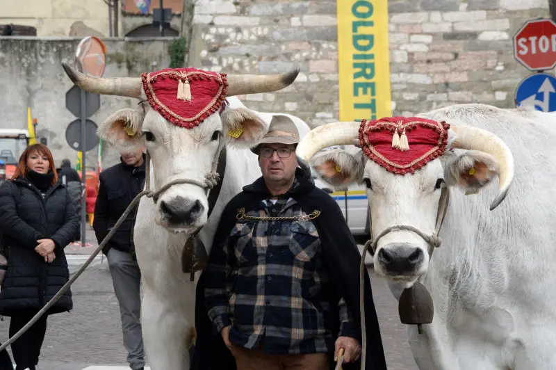 In piazza con noi a Lonato