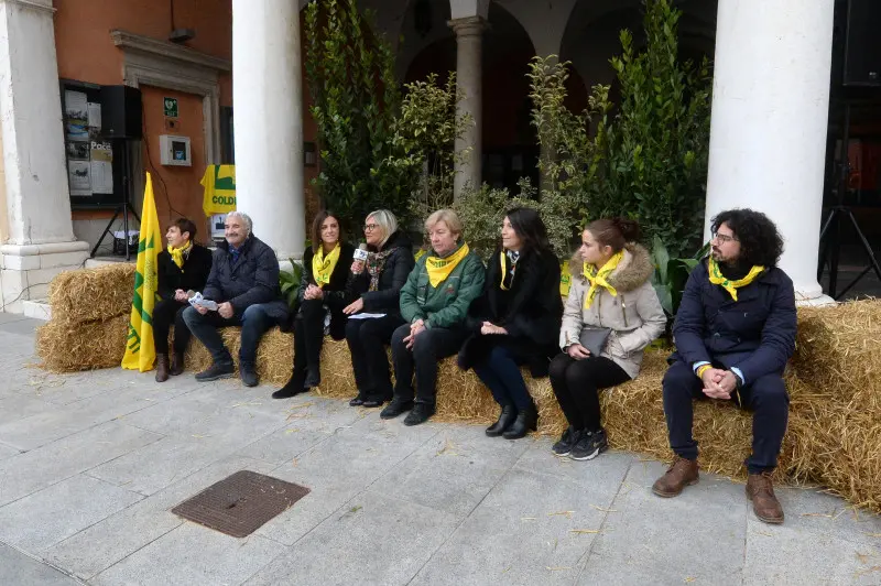 In piazza con noi a Lonato