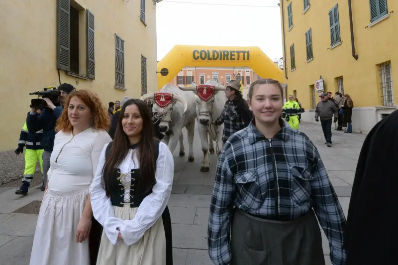 In piazza con noi a Lonato