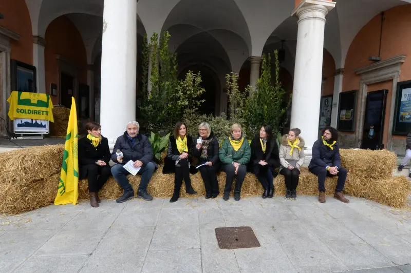 In piazza con noi a Lonato
