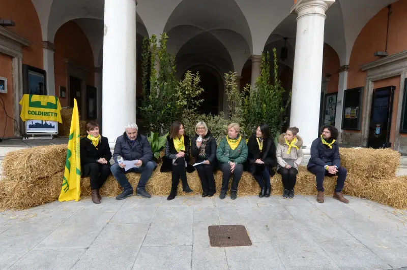 In piazza con noi a Lonato