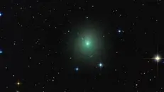 La cometa «46P/Wirtanen» - Foto © www.giornaledibrescia.it