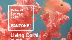 Il Living Coral è il colore dell'anno 2019