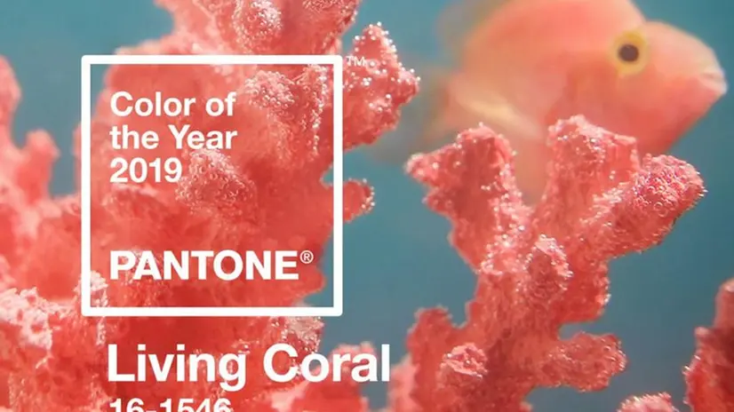 Il Living Coral è il colore dell'anno 2019