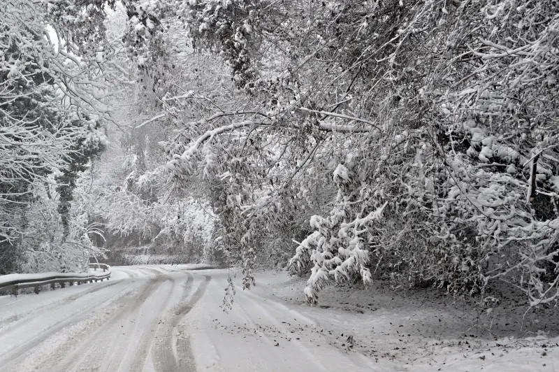 Neve in Maddalena