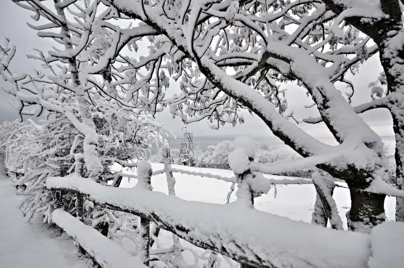 Neve in Maddalena